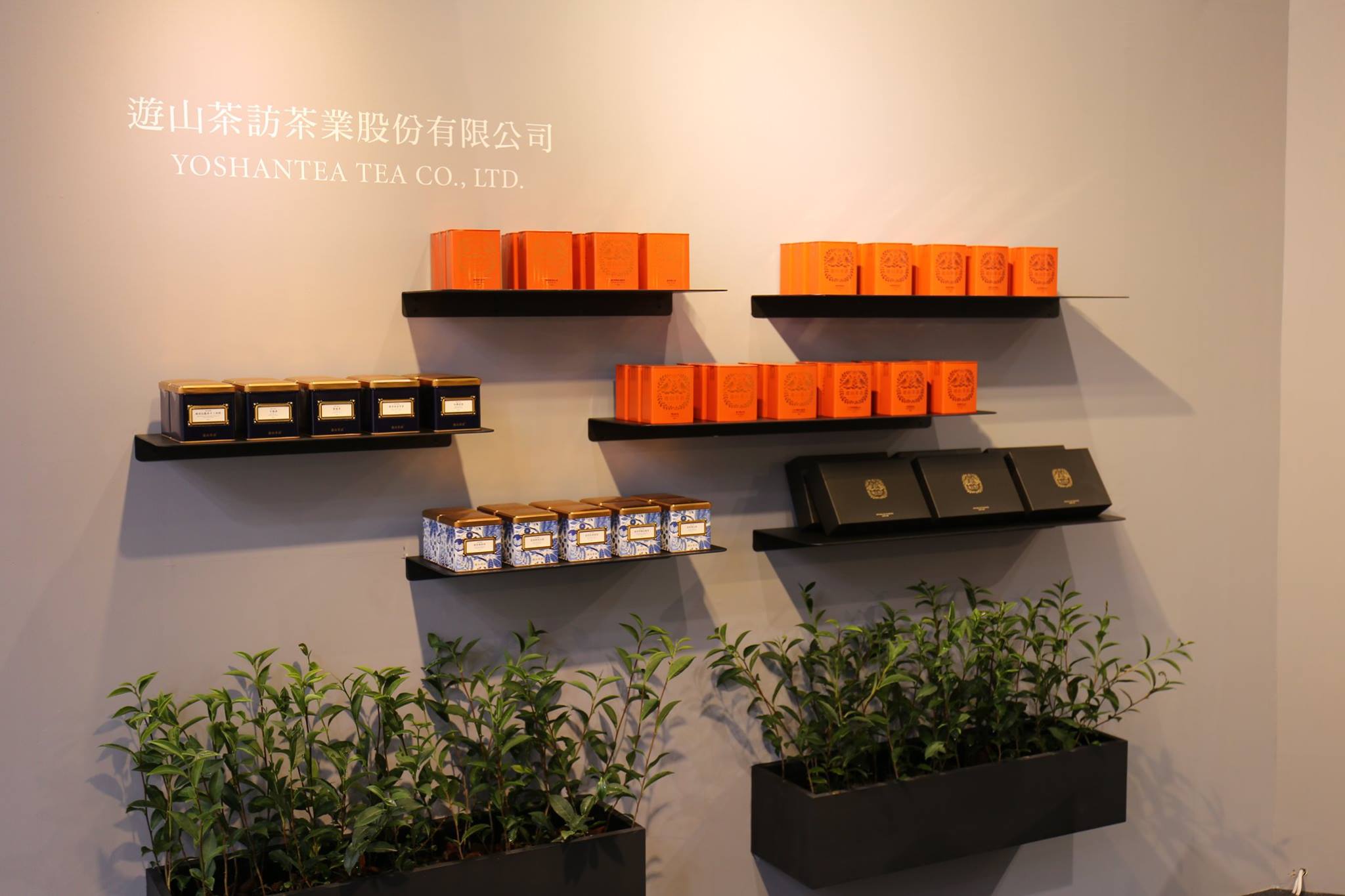 遊山茶訪丨嘉振製茶廠